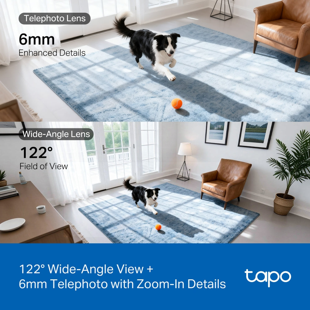 Tapo C245D Dual Lens Pan/Tilt Security Camera